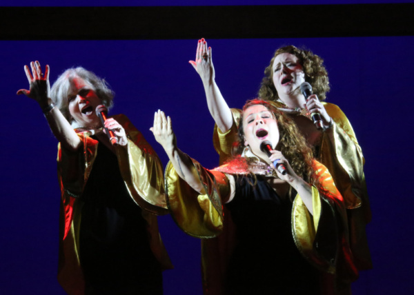 Photo Flash: First Look at Cape Rep Theatre's MAMMA MIA! Image