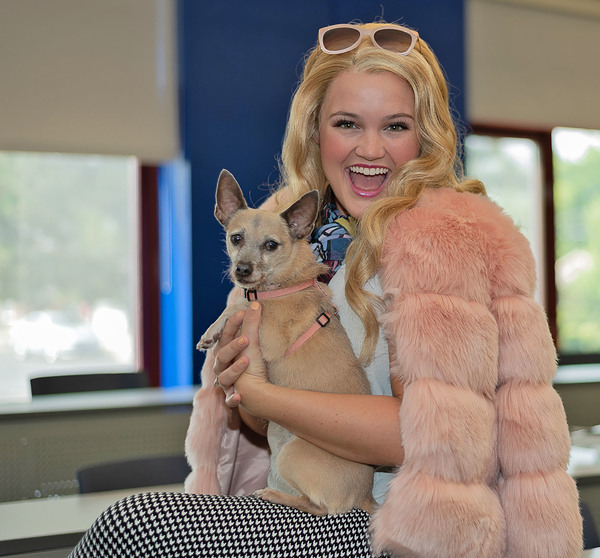 Photo Coverage: Omigod! First Look at Paramount's LEGALLY BLONDE Image