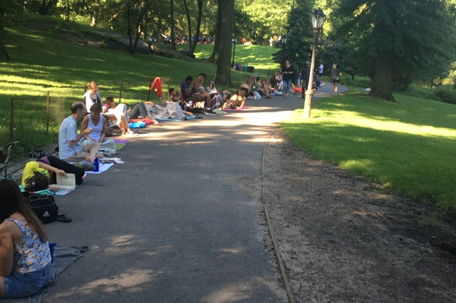 BWW First Person: What's It Like Waiting in Line for Shakespeare in the Park Tickets? Image