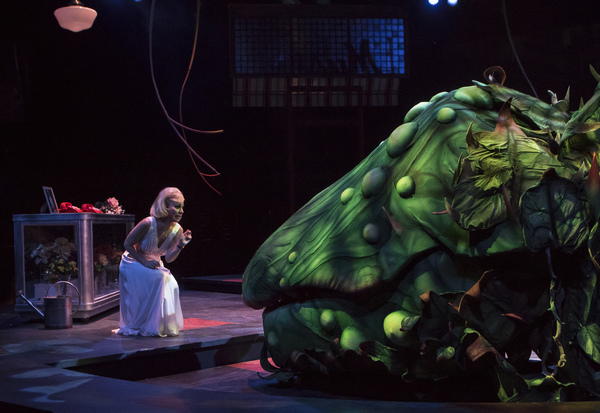 Photo Flash: First Look at LITTLE SHOP OF HORRORS at Sacramento Music Circus 