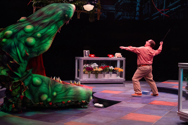 Photo Flash: First Look at LITTLE SHOP OF HORRORS at Sacramento Music Circus Image
