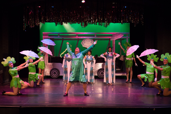 Photo Coverage: First look at Evolution Theatre Company's PRISCILLA QUEEN OF THE DESERT the musical Image