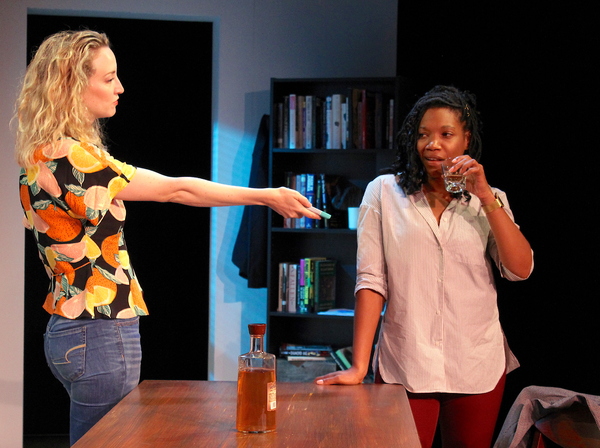 Photo Flash: First Look at Barrington Stage's WELL INTENTIONED WHITE PEOPLE Image
