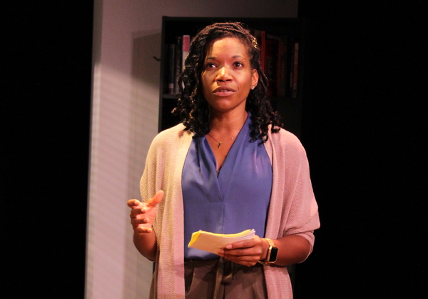 Photo Flash: First Look at Barrington Stage's WELL INTENTIONED WHITE PEOPLE Image