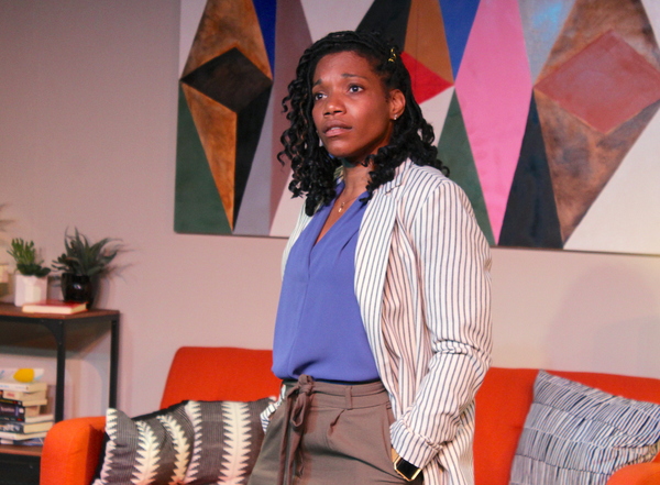 Photo Flash: First Look at Barrington Stage's WELL INTENTIONED WHITE PEOPLE 