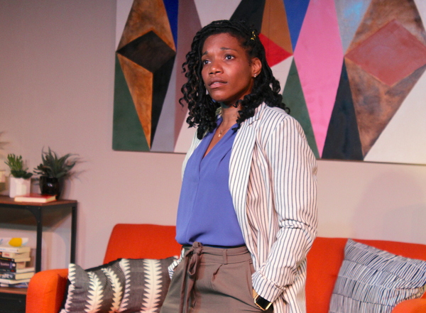 Photo Flash: First Look at Barrington Stage's WELL INTENTIONED WHITE PEOPLE Image