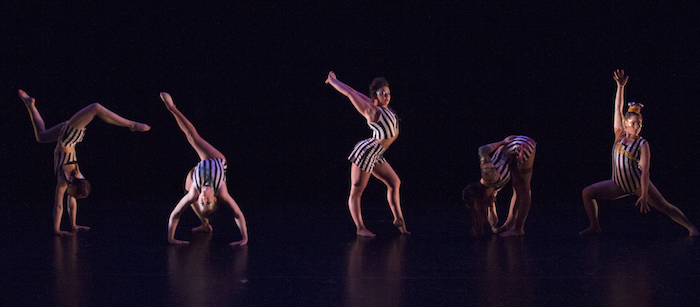 Guest Blog: Ellie Dubois On Female Circus Performers and NO SHOW Image
