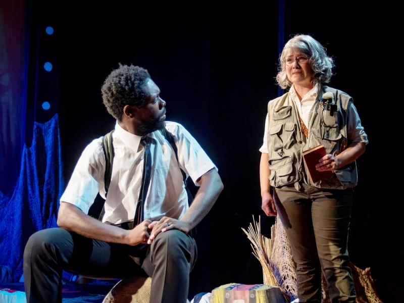 Review: DC-Area Premiere of Fugard's THE PAINTED ROCKS AT REVOLVER CREEK at MetroStage 