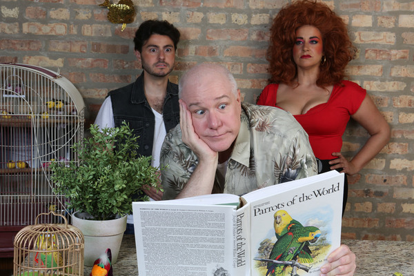 Photo Flash: Hell in a Handbag Productions Presents THE ARTIFICIAL JUNGLE Image