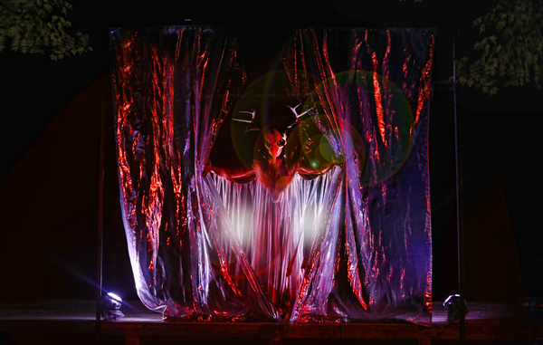 Photo Flash: Serenbe Playhouse's THE SEAGULL Image