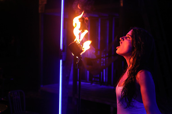 Photo Flash: Serenbe Playhouse's THE SEAGULL Image
