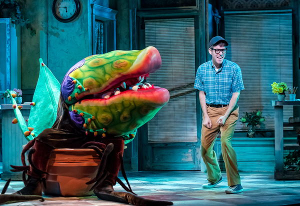 Photo Flash: First Look at LITTLE SHOP OF HORRORS At The Drury Lane Theatre Image