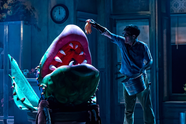 Photo Flash: First Look at LITTLE SHOP OF HORRORS At The Drury Lane Theatre Image