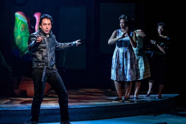 Photo Flash: First Look at LITTLE SHOP OF HORRORS At The Drury Lane Theatre Image