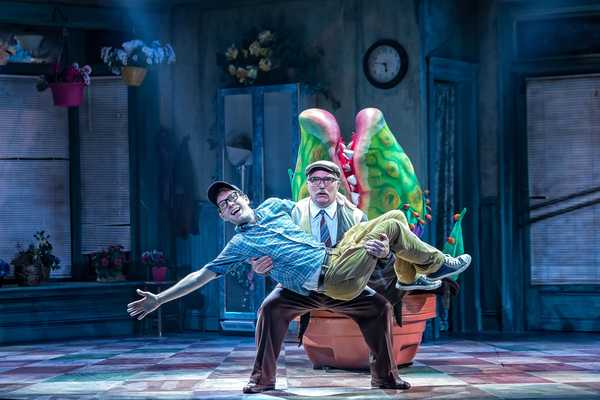 Photo Flash: First Look at LITTLE SHOP OF HORRORS At The Drury Lane Theatre Image