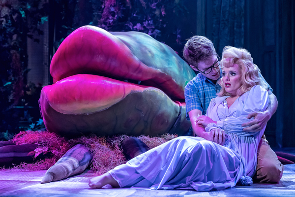 Photo Flash: First Look at LITTLE SHOP OF HORRORS At The Drury Lane Theatre Image