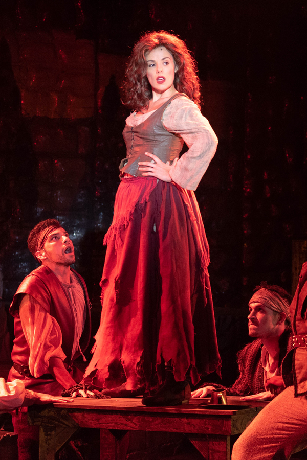 Photo Flash: MAN OF LA MANCHA at the John W. Engeman Theater Image