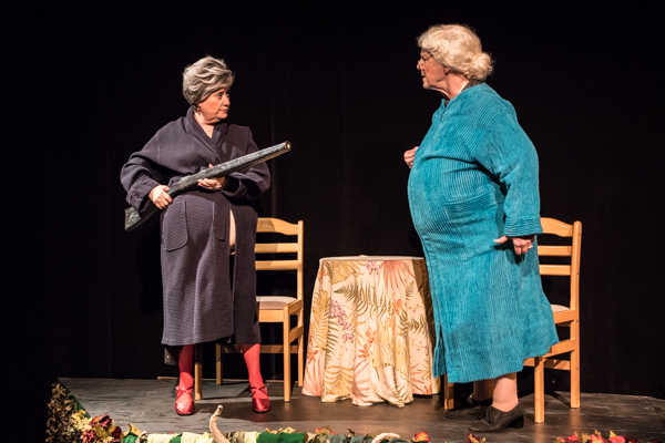 Photo Coverage: First look at Evolution Theatre Company's DEVIL BOYS FROM BEYOND Image