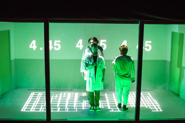 Photo Flash: First Look at Deafintiely Theatre's 4.48 PSYCHOSIS Image