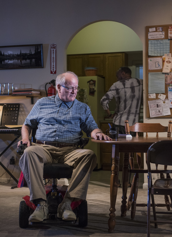 Photo Flash: First Look at Steppenwolf's DOWNSTATE Image