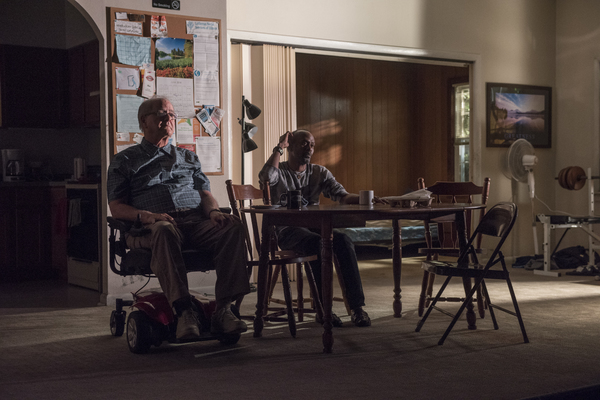 Photo Flash: First Look at Steppenwolf's DOWNSTATE Image