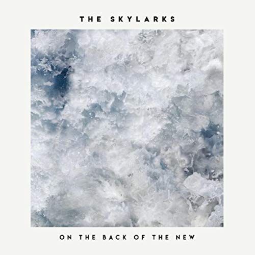 The Skylarks Release 'On the Back of the New' Image