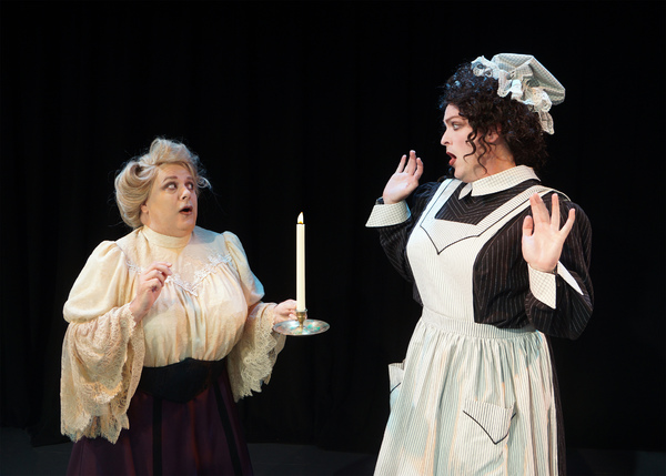 Photo Flash: First Look at Orlando Shakes' IRMA VEP Image