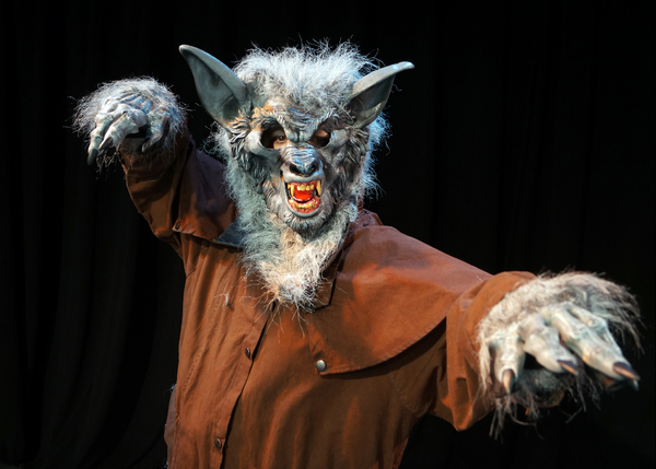 Photo Flash: First Look at Orlando Shakes' IRMA VEP Image