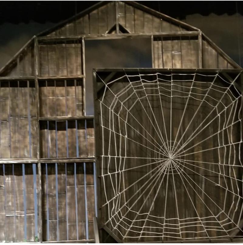 Feature: CHARLOTTE'S WEB Performed By the CHILDREN'S THEATRE OF CHARLESTON Is Coming To the CIVIC CENTER LITTLE THEATER! Image
