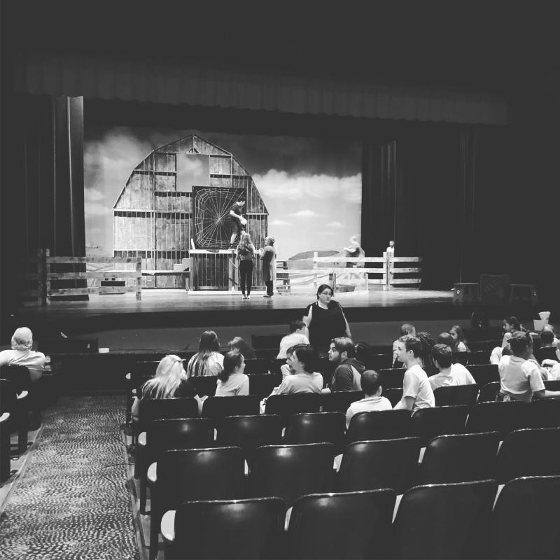 Feature: CHARLOTTE'S WEB Performed By the CHILDREN'S THEATRE OF CHARLESTON Is Coming To the CIVIC CENTER LITTLE THEATER! Image