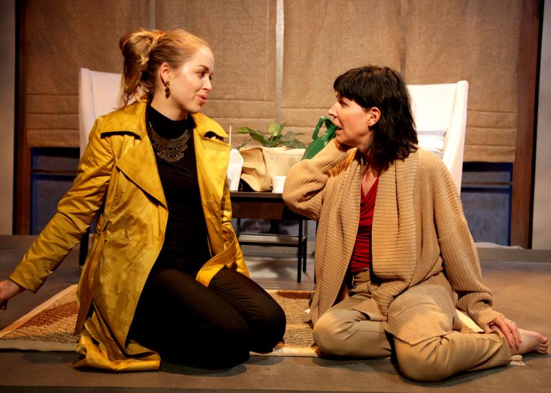 Review: Intense Drama THE OTHER PLACE Stirs at OC's Chance Theater Image