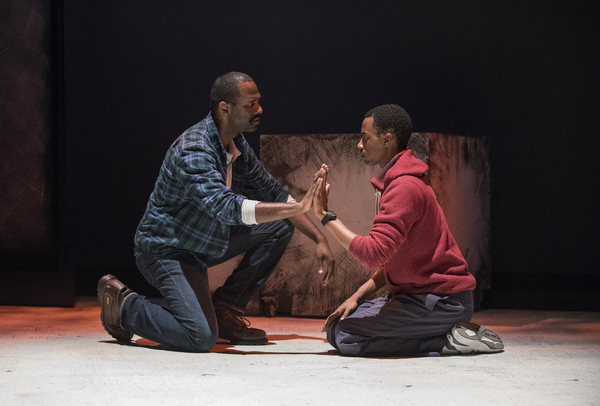 Photo Flash: First Look at Steppenwolf's THE CURIOUS INCIDENT OF THE DOG IN THE NIGHT-TIME Image