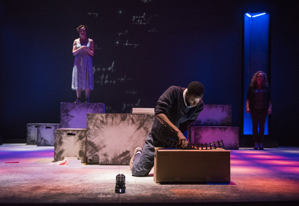 Photo Flash: First Look at Steppenwolf's THE CURIOUS INCIDENT OF THE DOG IN THE NIGHT-TIME Image