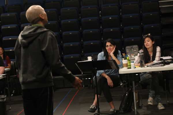 Photo Flash: In Rehearsal with The Public's WILD GOOSE DREAMS Image