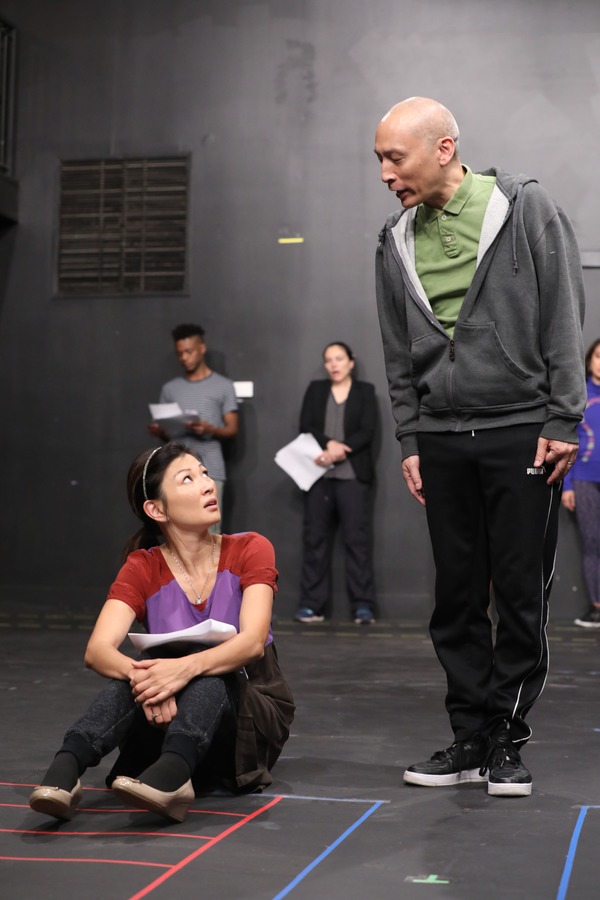 Photo Flash: In Rehearsal with The Public's WILD GOOSE DREAMS Image