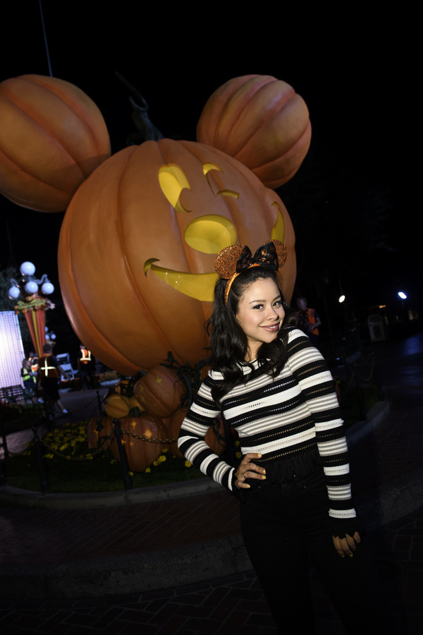 Photo Flash: Freeform Presents an Inside Look at Disney Parks' Holiday Makeover in DECORATING DISNEY: HALLOWEEN MAGIC Image