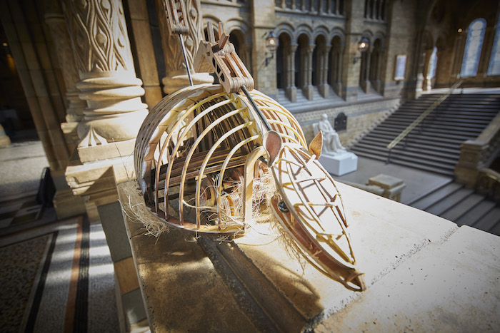 Guest Blog: Nick Paine On THE WIDER EARTH at the Natural History Museum Image