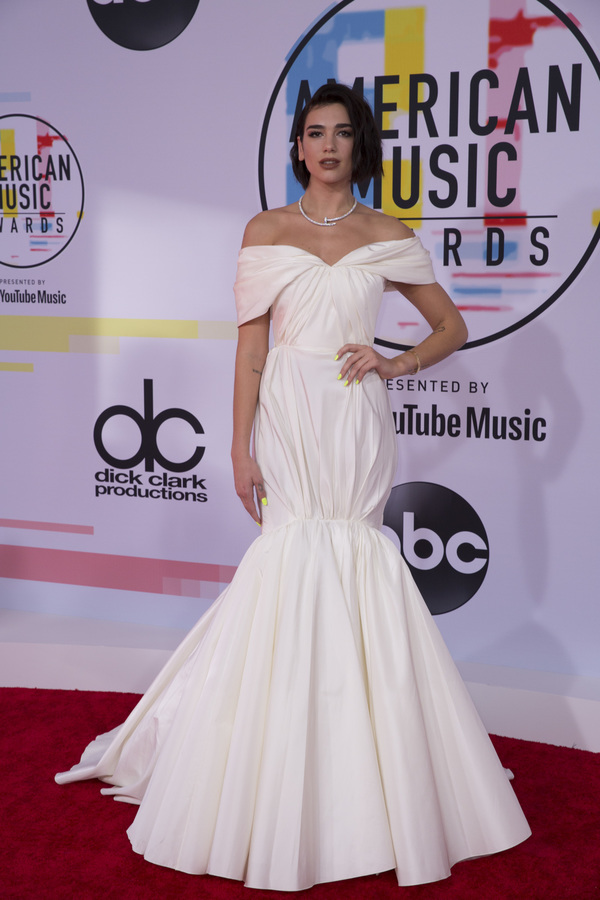 Photo Flash: The Stars Come Out for the AMERICAN MUSIC AWARDS Red Carpet  Image