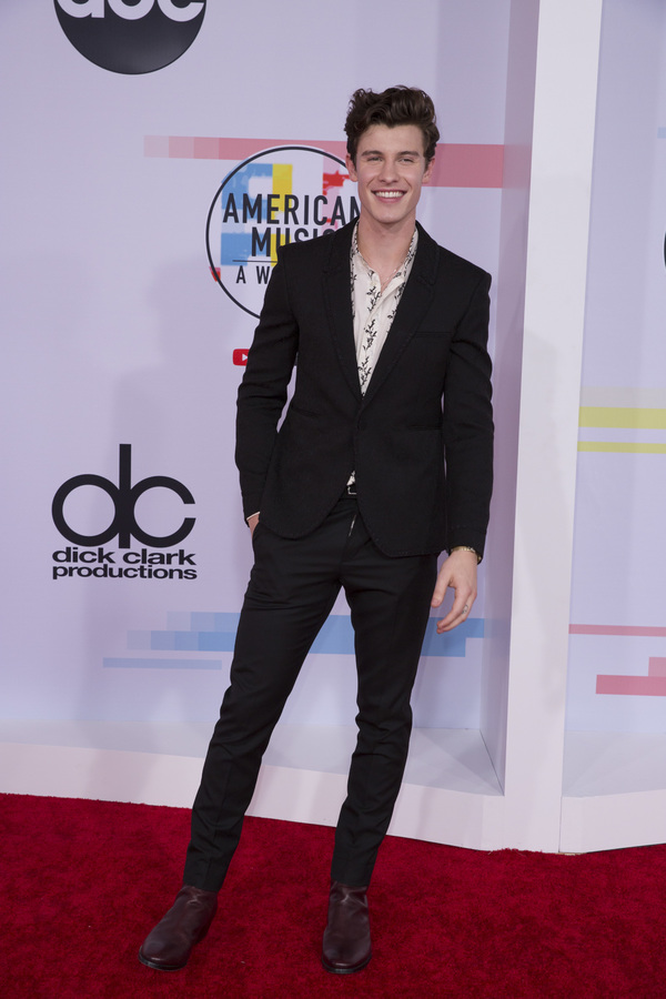 Photo Flash: The Stars Come Out for the AMERICAN MUSIC AWARDS Red Carpet 