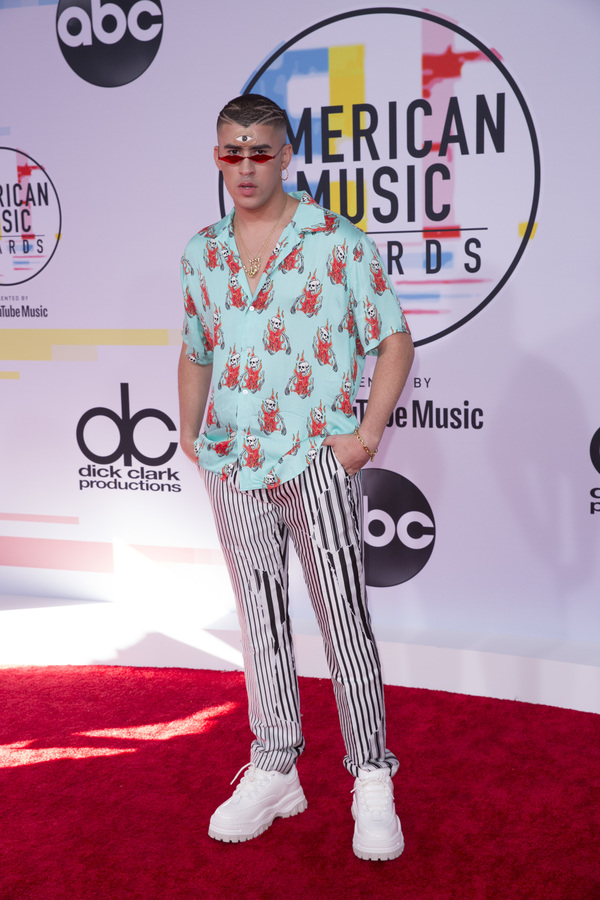 Photo Flash: The Stars Come Out for the AMERICAN MUSIC AWARDS Red Carpet 