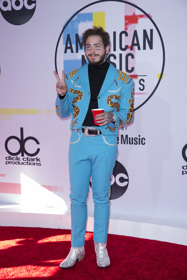 Photo Flash: The Stars Come Out for the AMERICAN MUSIC AWARDS Red Carpet Image