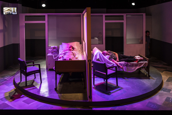 Photo Flash: First Look at the World Premiere of EDGE OF LIFE in Chicago Image