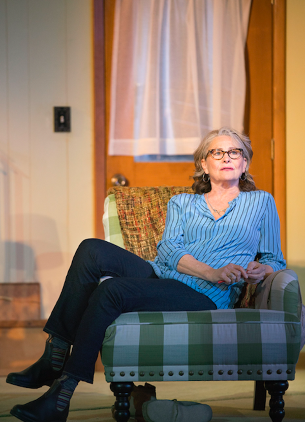 Photo Flash: First Look at Daniel Radcliffe, Bobby Cannavale, and Cherry Jones in THE LIFESPAN OF A FACT Image