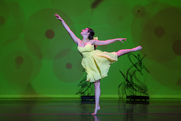 Photo Coverage: First look at New Vision Dance Co.'s KALEIDOSCOPE Image