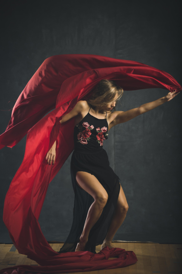 Photo Flash: VLDC Announces Dancers For The 2018-2019 Season Image