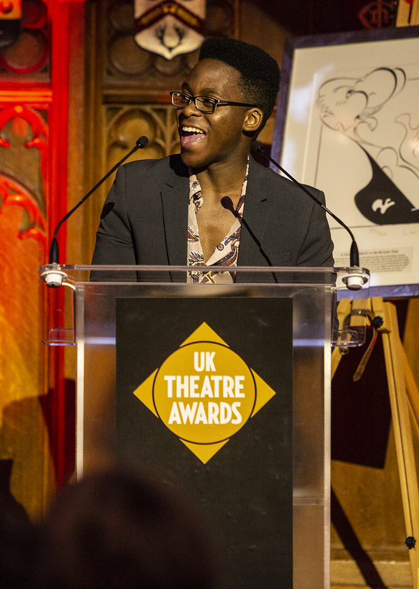 Photo Flash: A Look Inside the 2018 UK Theatre Awards Image