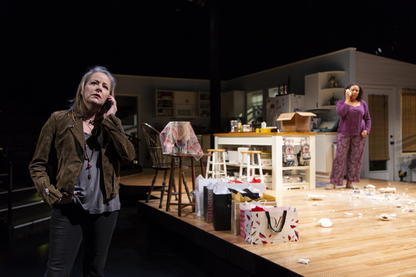 Photo Flash: Long Wharf Theatre Presents THE ROOMMATE Image