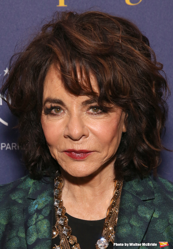 Photo Coverage: On the Red Carpet at Opening Night of APOLOGIA Image