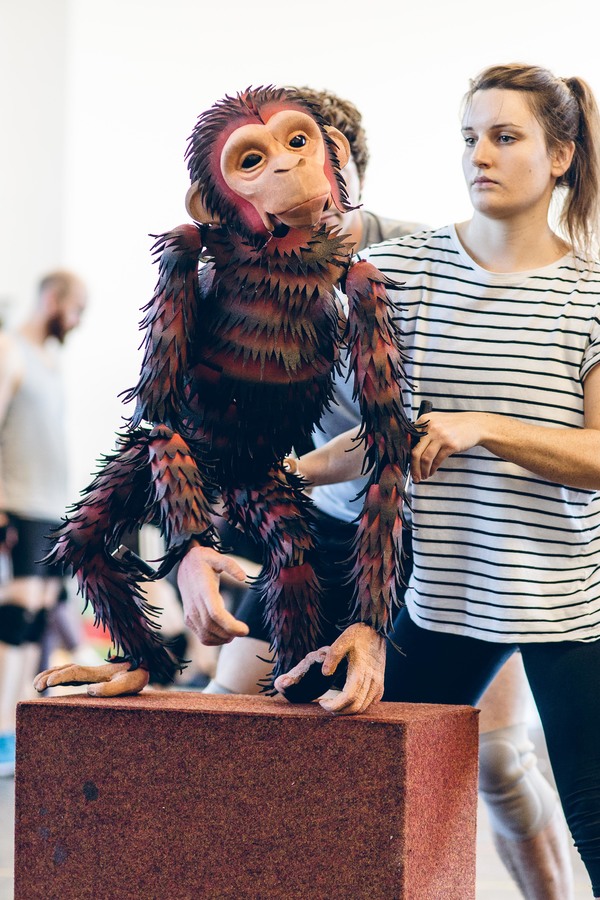 Photo Flash: In Rehearsal with the UK Tour of DOCTOR DOLITTLE Image