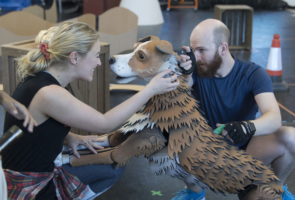 Photo Flash: In Rehearsal with the UK Tour of DOCTOR DOLITTLE Image